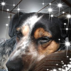 Meet your Posher, Sallie